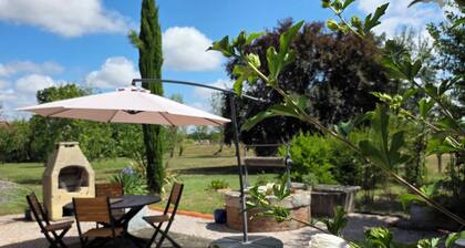 Charming little cottage located 7km from the episcopal city of Albi.