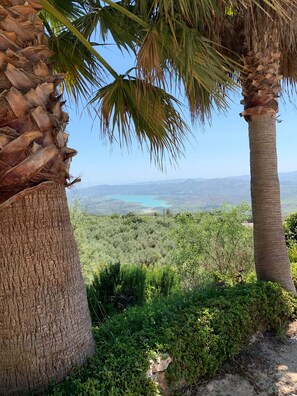 Terrain de l’hébergement 