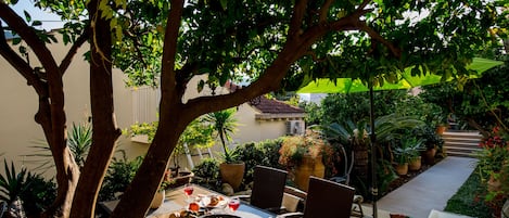 Apartment (One-Bedroom Apartment) | Terrace/patio