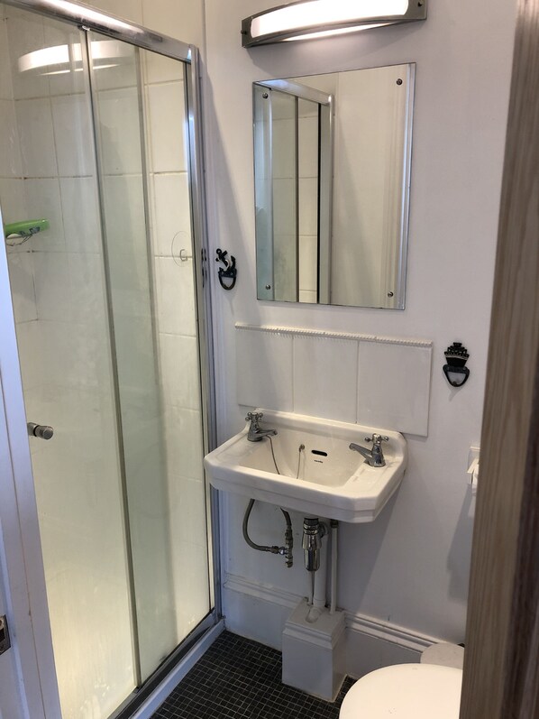 A bathroom with a glass shower enclosure, a white sink with a mirror above it, and a toilet.