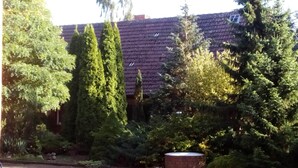 A paved driveway leading to a building with a dark roof. - Hotel Leppiner Hof (Arendsee)