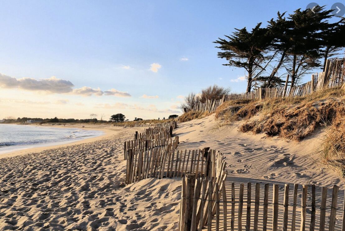 On the beach, sun-loungers
