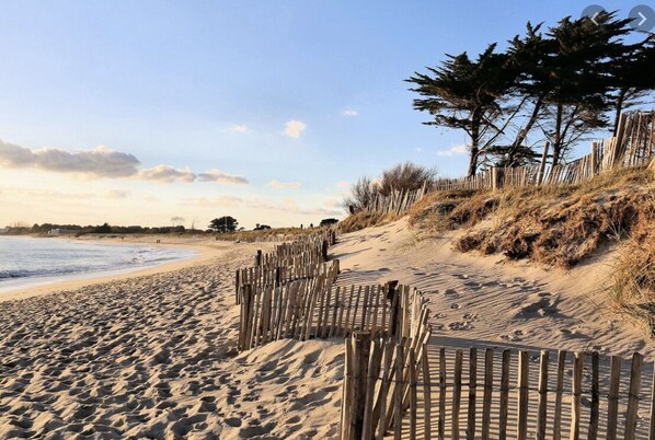 On the beach, sun loungers