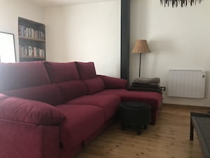 TV, fireplace, books