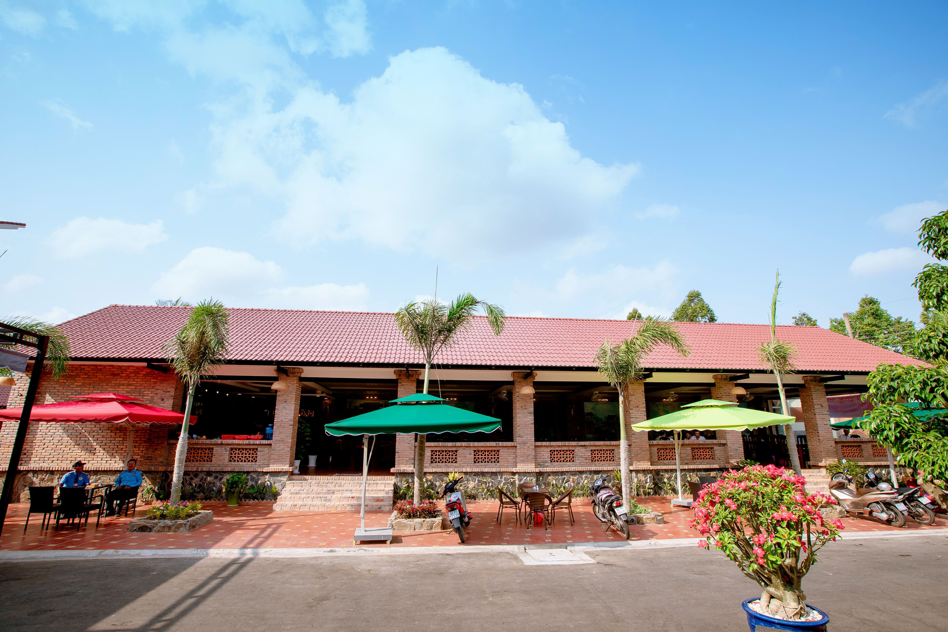 A restaurant with outdoor seating, covered by red and green umbrellas, and a potted plant in the foreground.