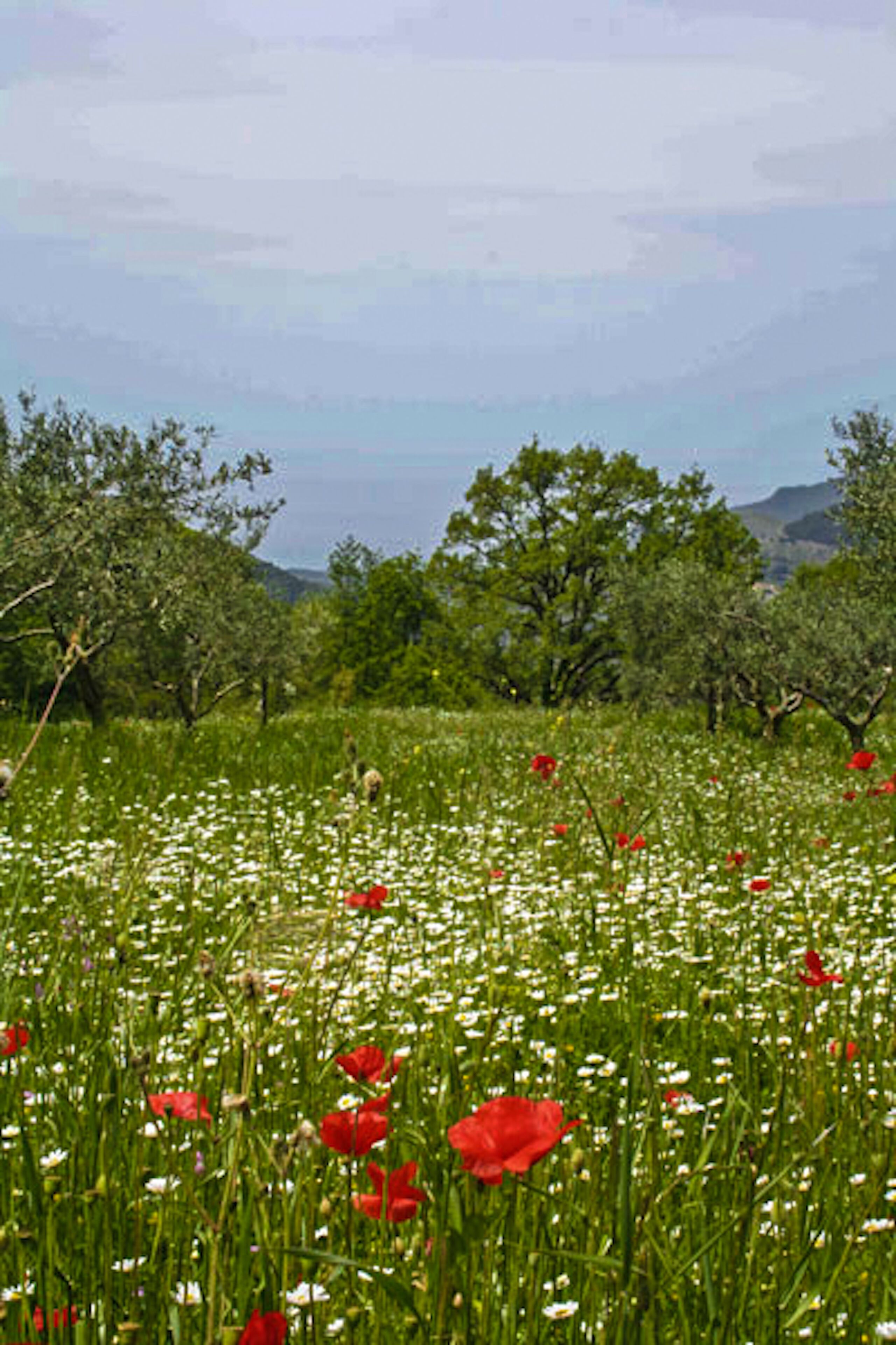 Vue sur la campagne depuis l’hébergement