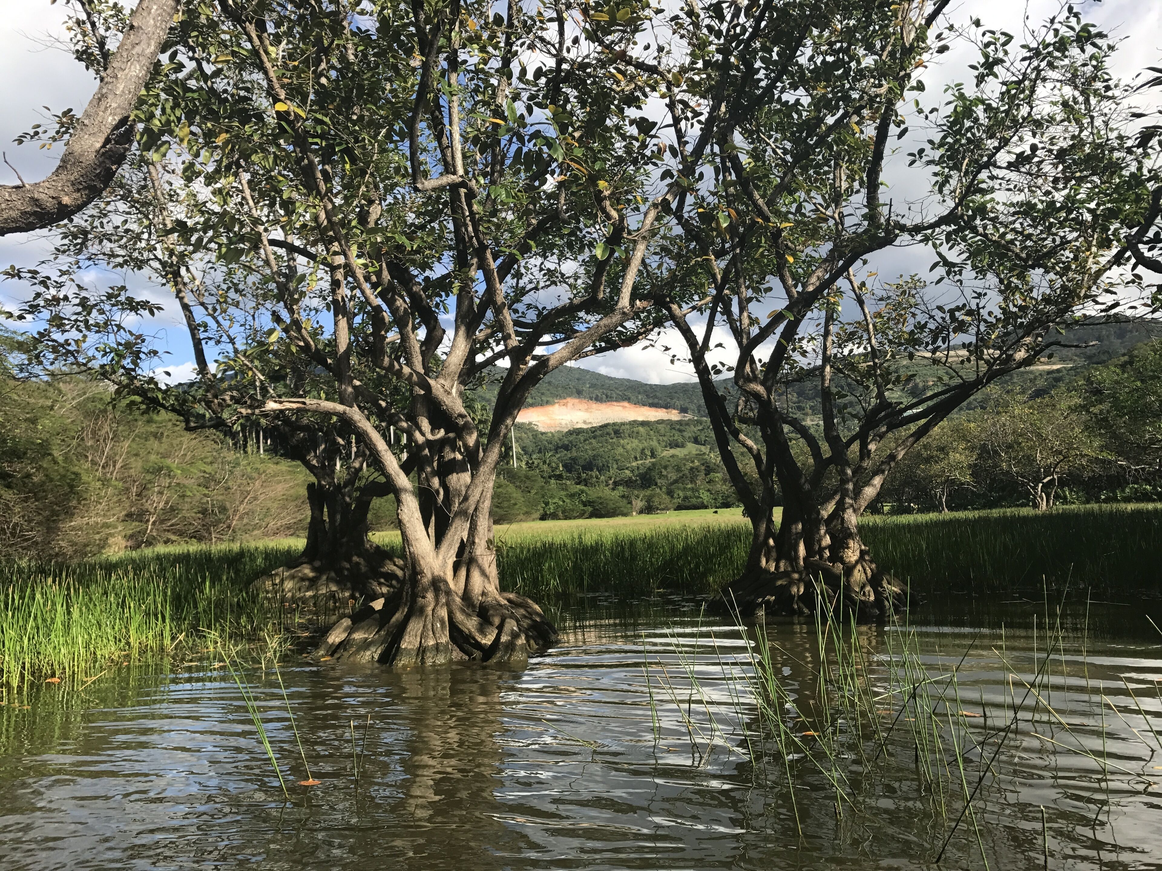 Foto - Auberge K-WAN Hostel - Proche Plages