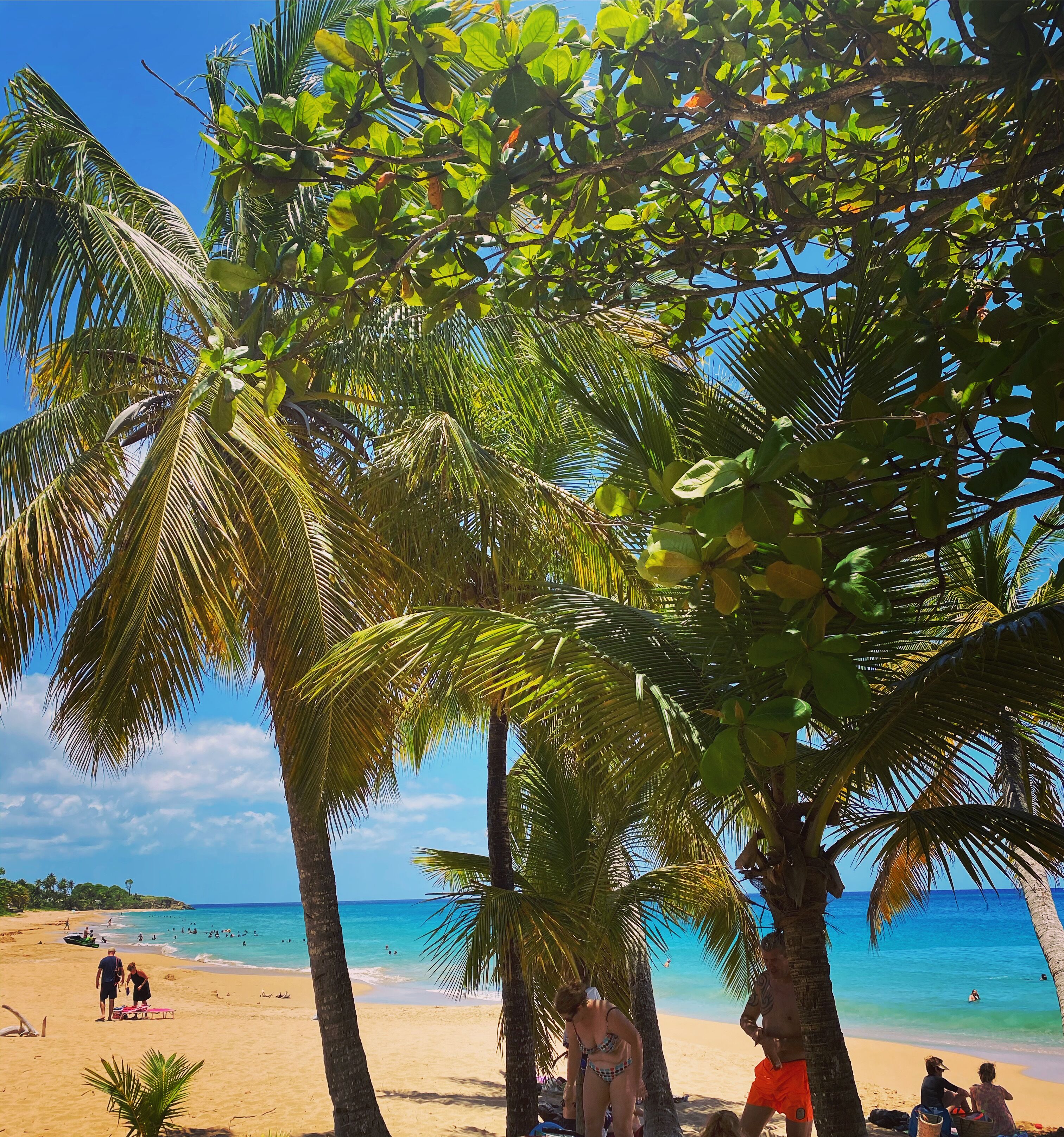 Beach nearby, beach towels, 7 beach bars