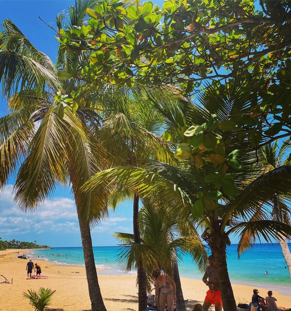 In Strandnähe, Strandtücher, 7 Strandbars