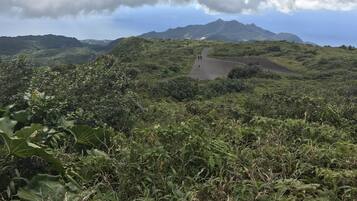 A lush, green landscape with a winding road and distant mountains under a cloudy sky.
