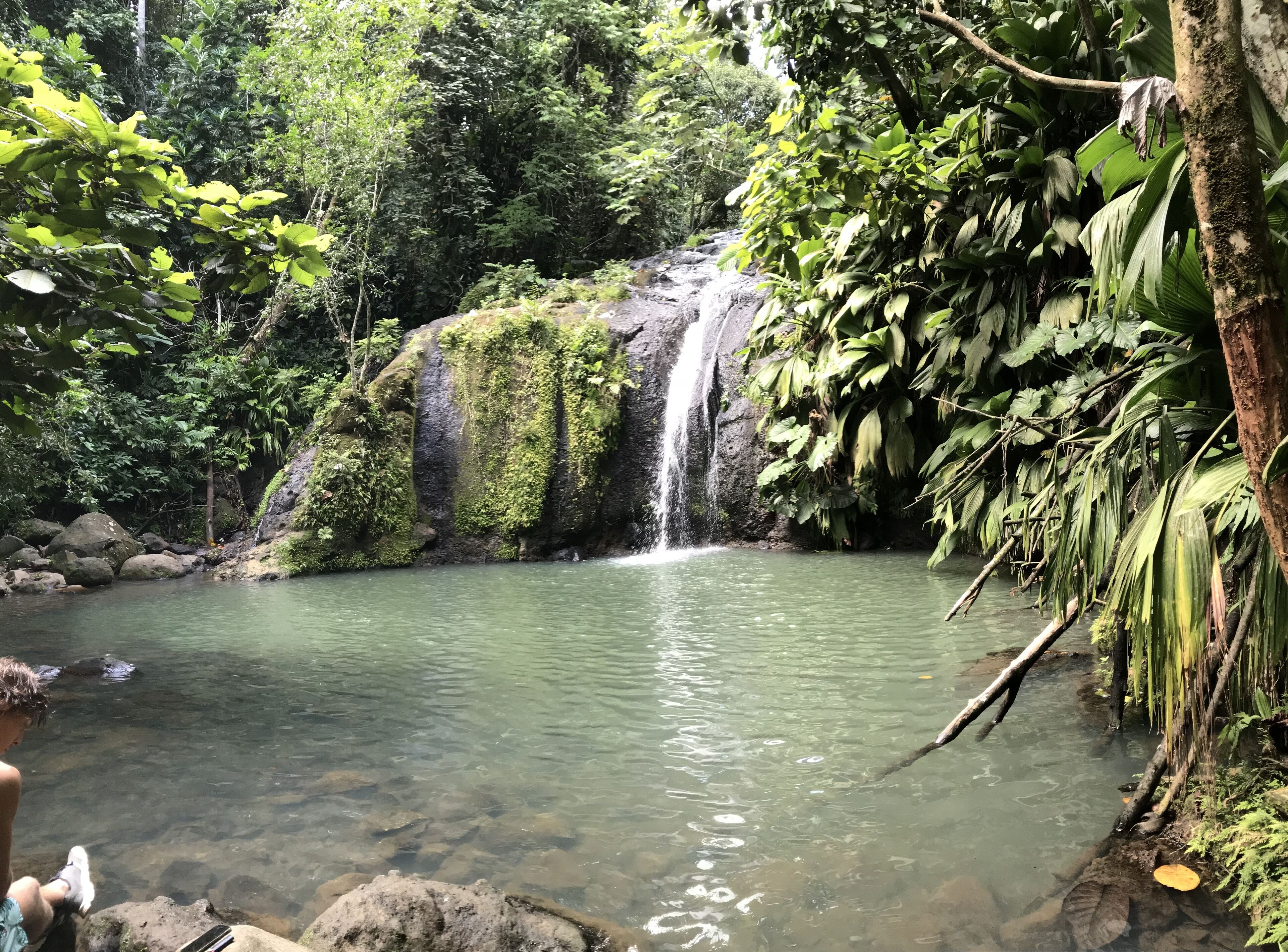 Foto - Auberge K-WAN Hostel - Proche Plages