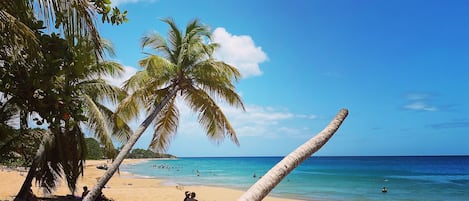Beach nearby, beach towels, 7 beach bars