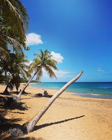 Beach nearby, beach towels, 7 beach bars