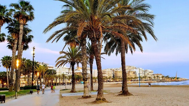 Eine Uferpromenade gesäumt von Palmen und Gebäuden, mit einem Sandstrand und dem Ozean im Hintergrund.