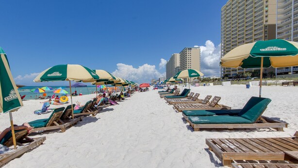 Une plage bordée de rangées de chaises longues et de parasols, un ciel dégagé et un grand immeuble en arrière-plan.
