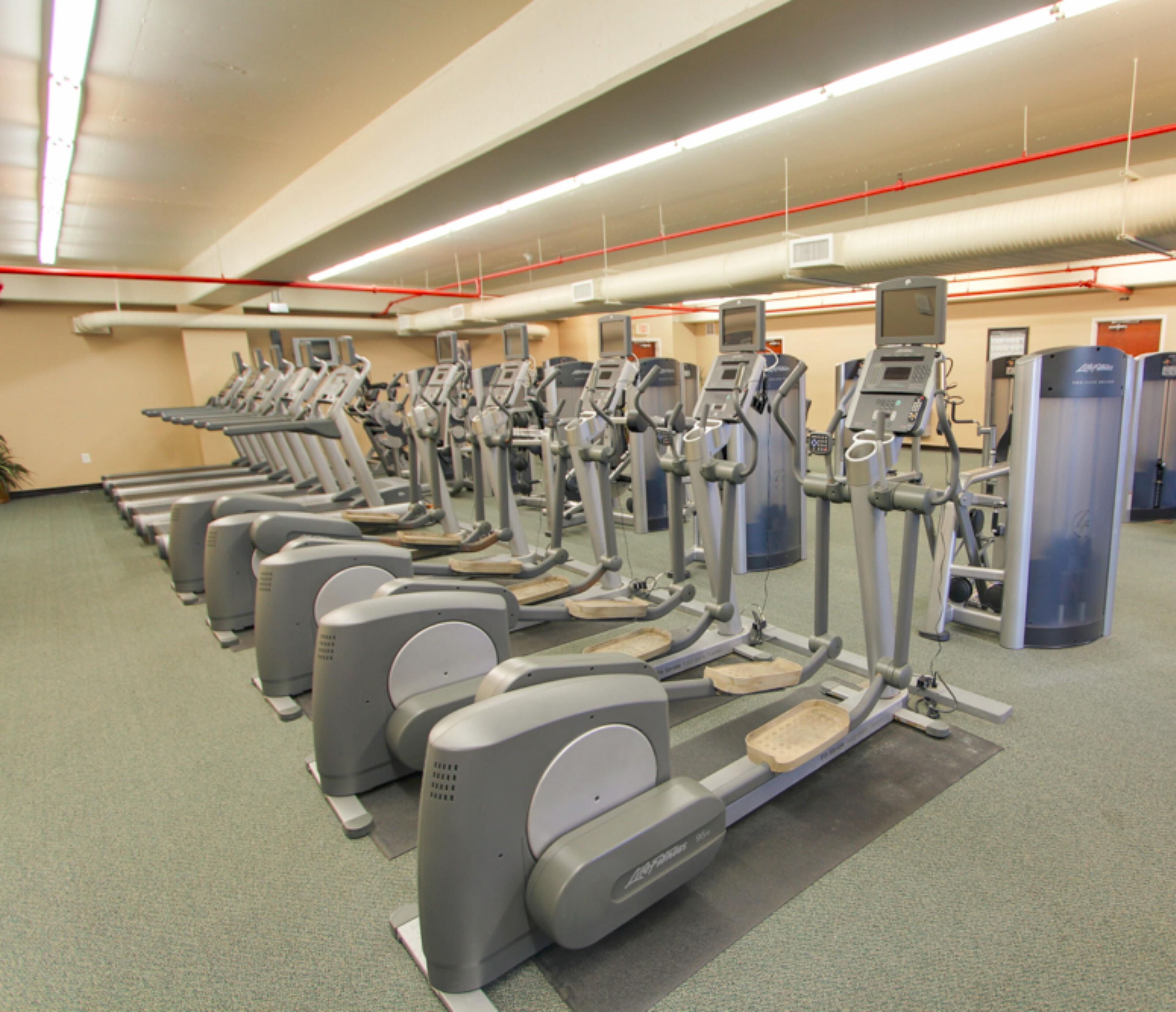 Eine Reihe von Stillfahrrädern in einem Fitnessstudio mit grünem Teppich und weißer Decke.