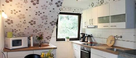 Fridge, microwave, oven, coffee/tea maker