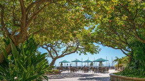 An outdoor seating area with tables and chairs under a canopy of trees, overlooking a body of water. - @ Marbella Lane - Executive Suite | Steps to Beach (Honolulu)