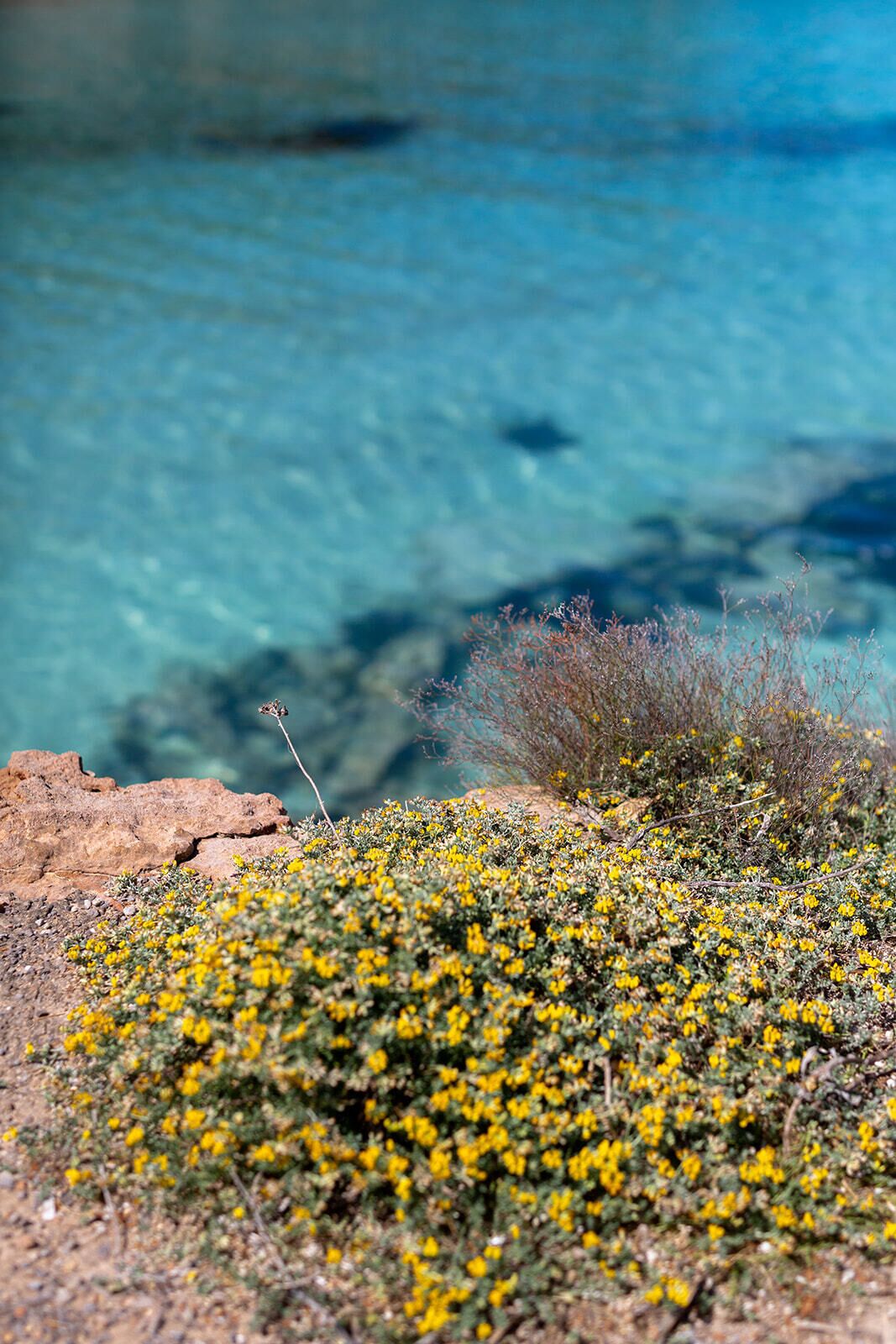 Photo - Hostal La Cigüeña