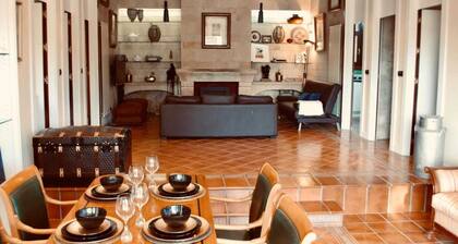 Individual chalet with winery among vineyards