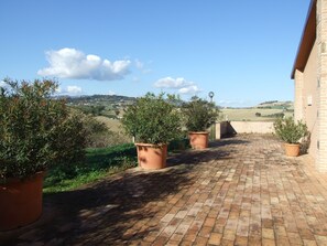 Property grounds - Apartment 4 people in farmhouse with swimming pool (Marche)