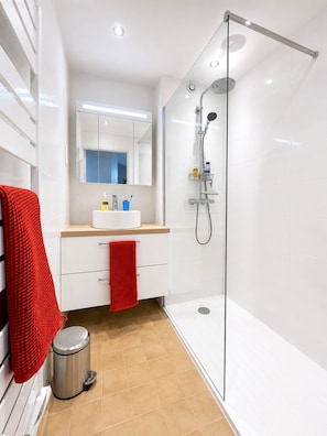 Shower, hair dryer, towels, toilet paper