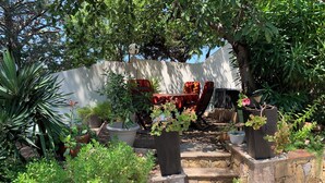 A garden patio with stone steps leading to a seating area, surrounded by various potted plants and a white wall in the background. - T2 45m2 with garden, Air conditioning, Parking, Quiet, Comfortable, Beach 800m (Saint-Raphaël)