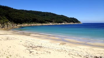 Playa en los alrededores y camastros 