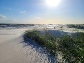 Beach nearby - Shuckers & Beaches!  In Beautiful Mexico Beach, FL (Mexico Beach)