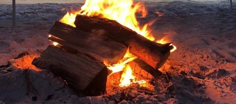 Shuckers & Beaches!  In Beautiful Mexico Beach, FL