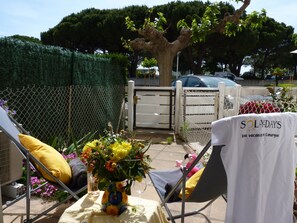 Terras