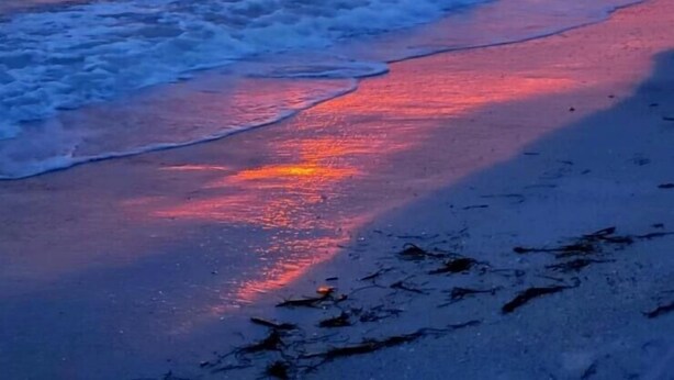 A beach with waves and a sunset. - Crescent Arms Luxurious Gulf front Siesta Key Condo 604S (Siesta Key)