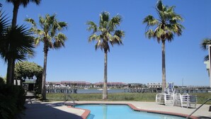 A swimming pool with a brick edge, surrounded by palm trees and a view of a marina with boats. - Turtle Bay 15 - Riverfront - Dock & Pool (Folly Beach)