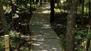 A gravel path in a forested area with a 'NO SKI' sign on a post. - Barren Lake Waterfront Eclectic Cabin - Dock; 17 miles from Mammoth Cave (Glasgow)