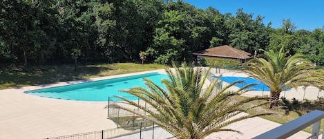 Ein Pool mit gewölbter Kante, umgeben von einer Umzäunung und Palmen.