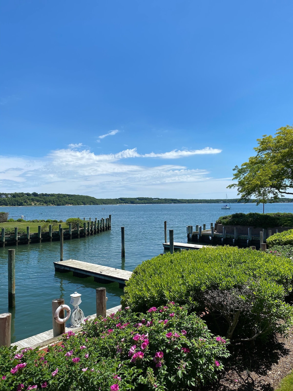 Image de profil de lâhĂŽte