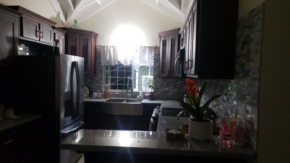 Fridge, microwave, oven, stovetop - backyard oasis, hot water /Fully AC, 8 mins drive from Ocho Rios central (Ocho Rios)