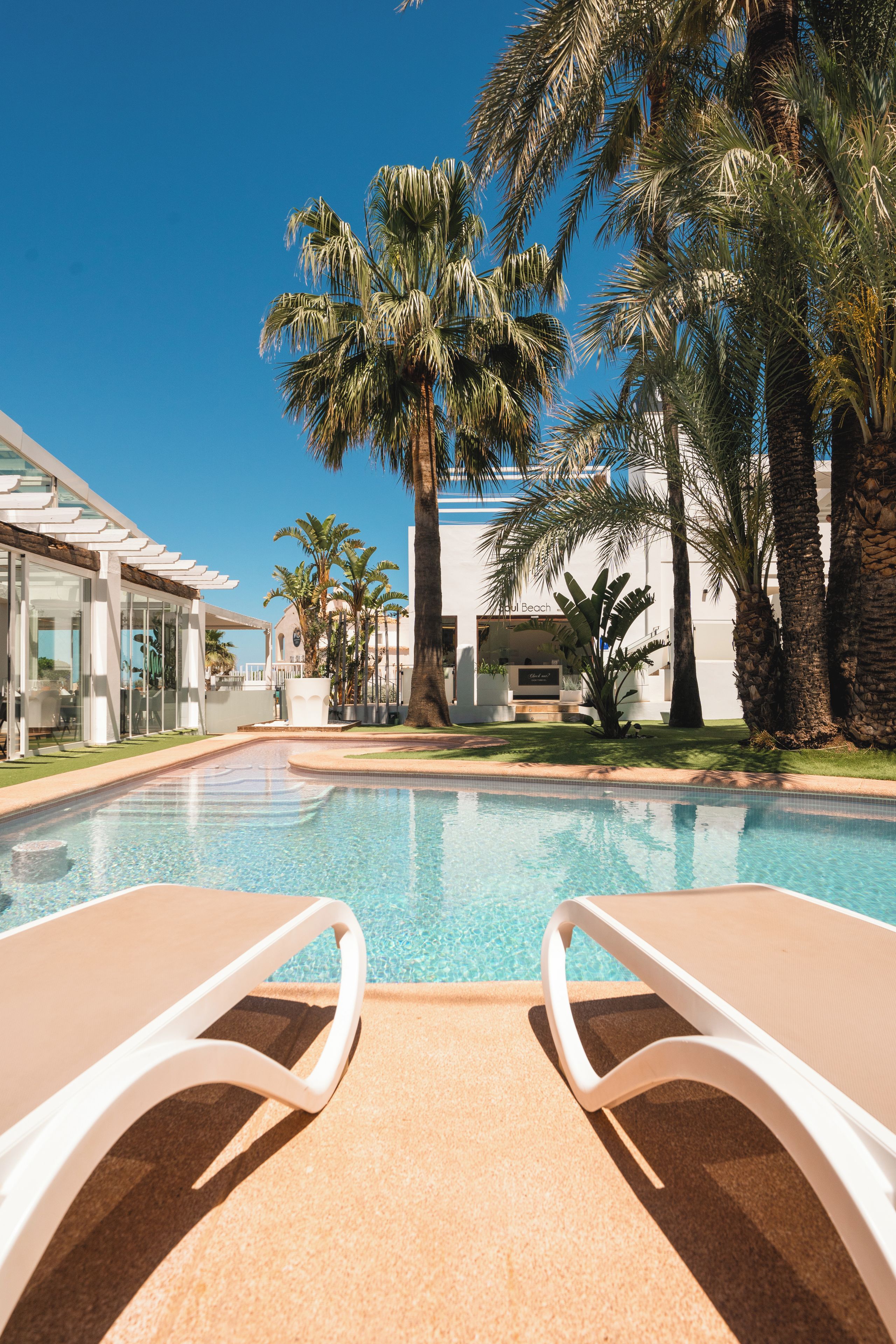 Un área de piscina con sillones de descanso, palmeras y un edificio de fachada de vidrio.
