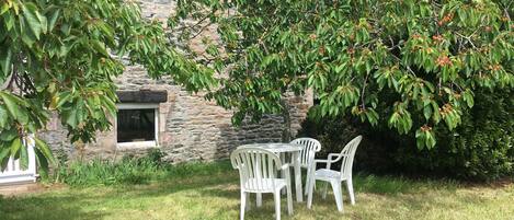 Edifici de pedra amb una finestra, envoltat de vegetació exuberant i un arbre amb fruits vermells.