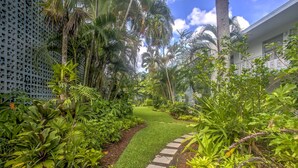 Un jardin luxuriant, avec un sentier de pierres menant à une pelouse, entouré de diverses plantes tropicales et délimité par une clôture en treillis.
