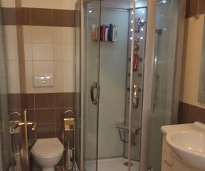Shower, hair dryer, bidet, towels