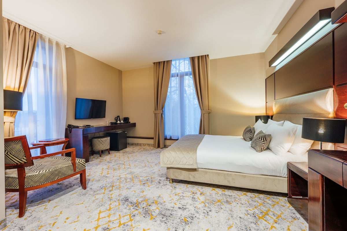 A hotel room with a bed, desk, chair, TV, and a carpet with a geometric pattern.