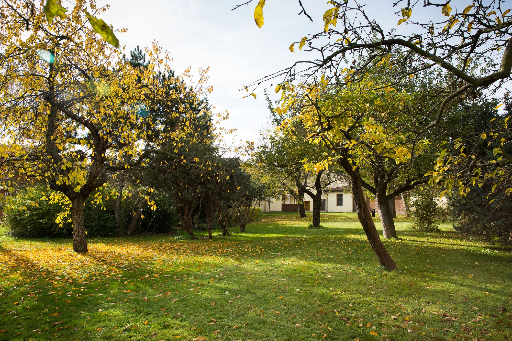 Photo - Hotel Baroko