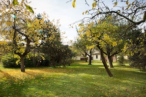 Jardín