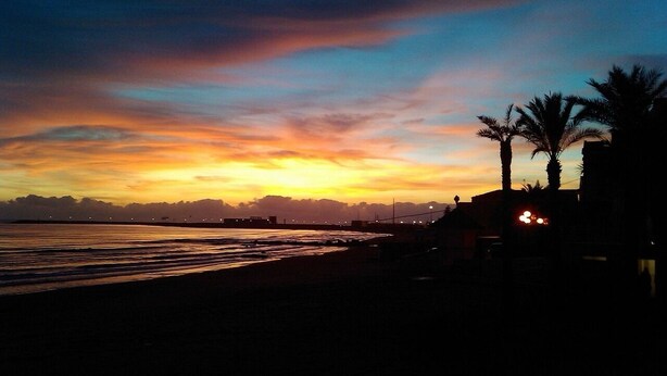 A beach at sunset with palm trees and a distant city skyline. - Exclusive Pool Villa - Cascina Relais (Sicilia)