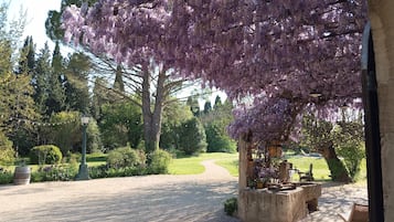 Un jardín con un sendero de grava, un banco y un árbol con flores moradas.