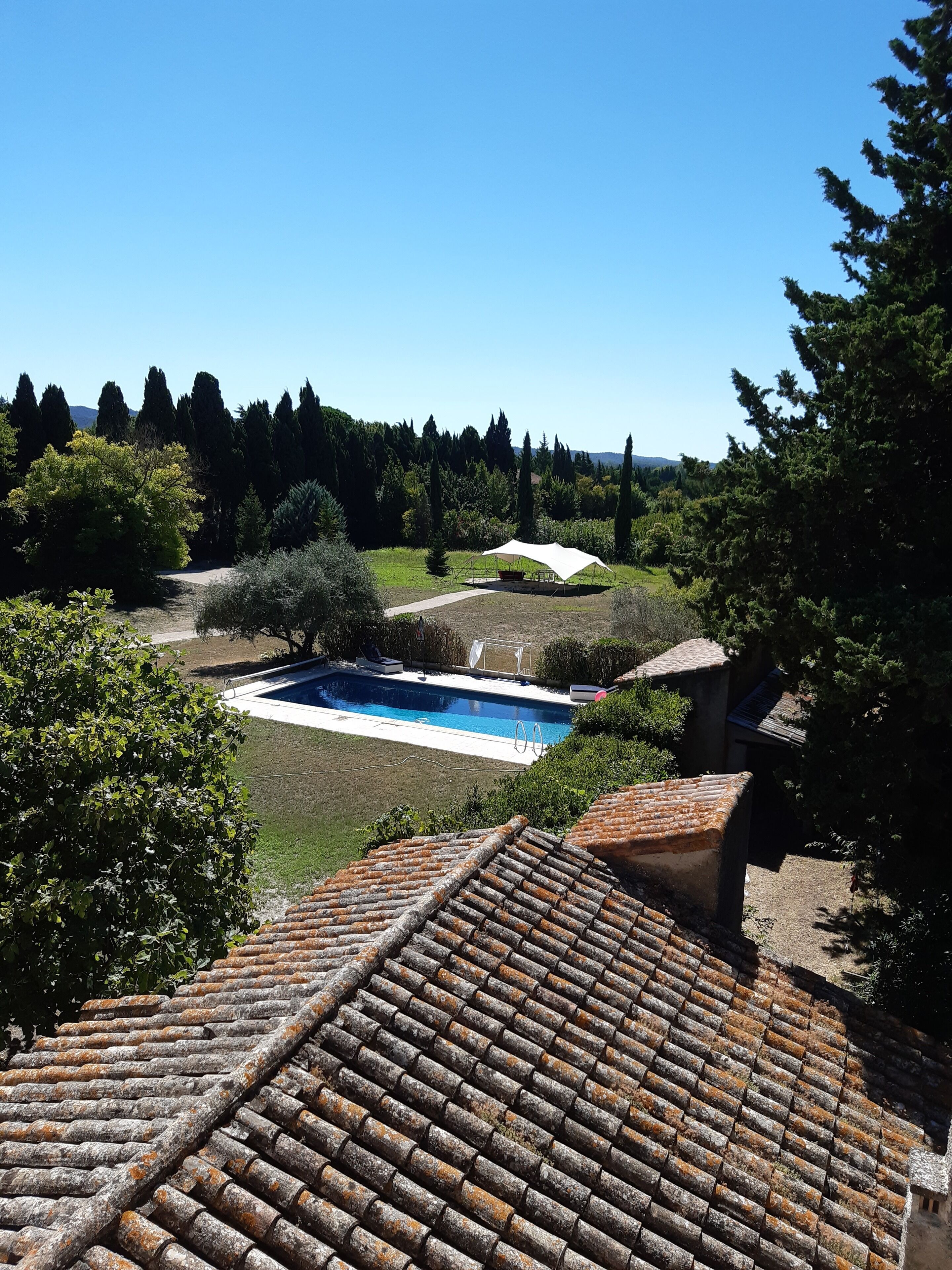 Terraza en la azotea con piscina, rodeada de vegetación y árboles.
