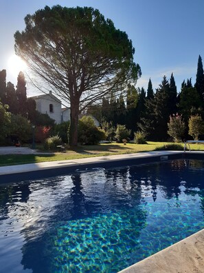 Exterior detail - Rémy A Dit (St.-Rémy-de-Provence)