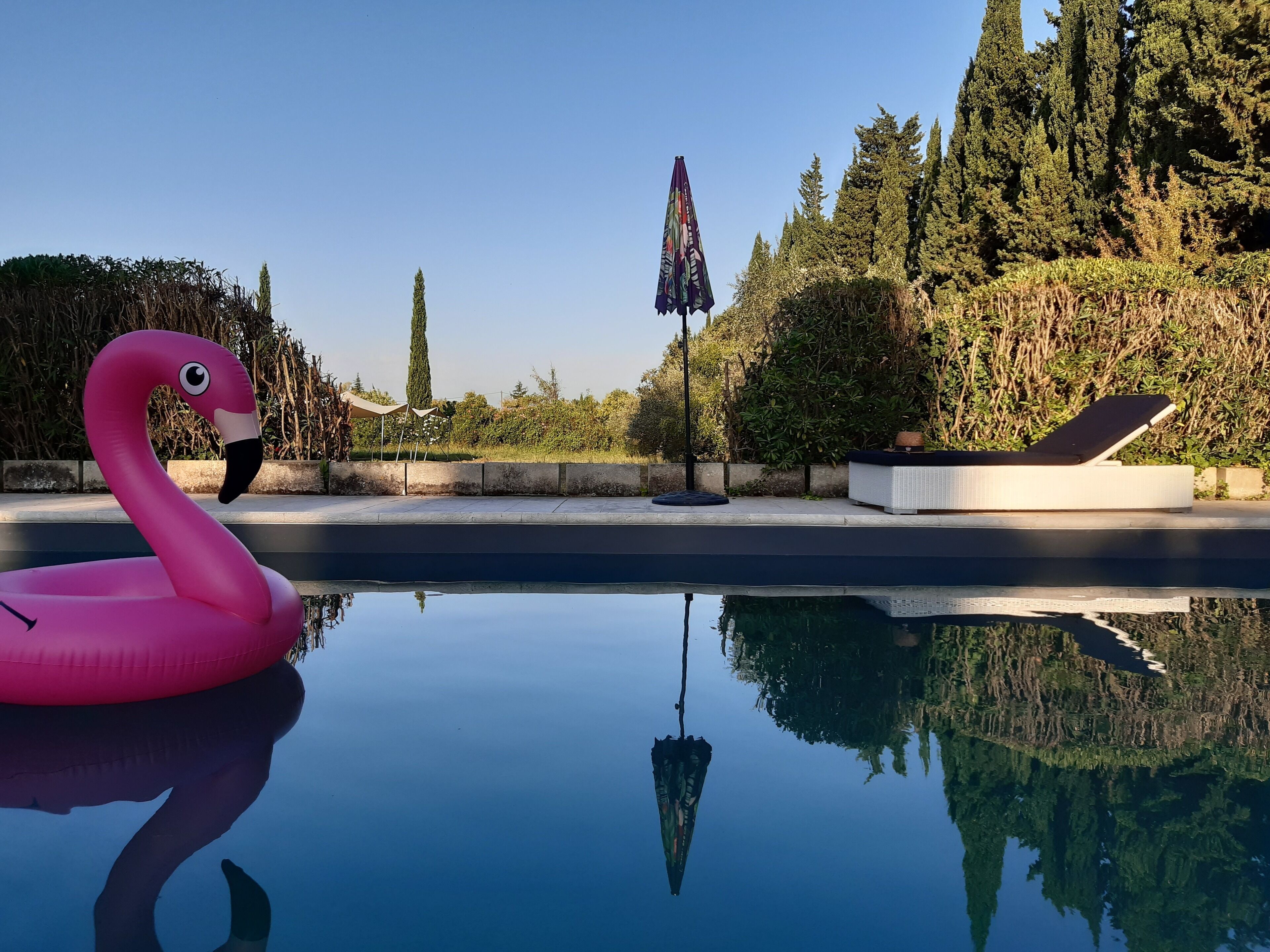 시즌별로 운영되는 야외 수영장, 수영장 파라솔, 일광욕 의자