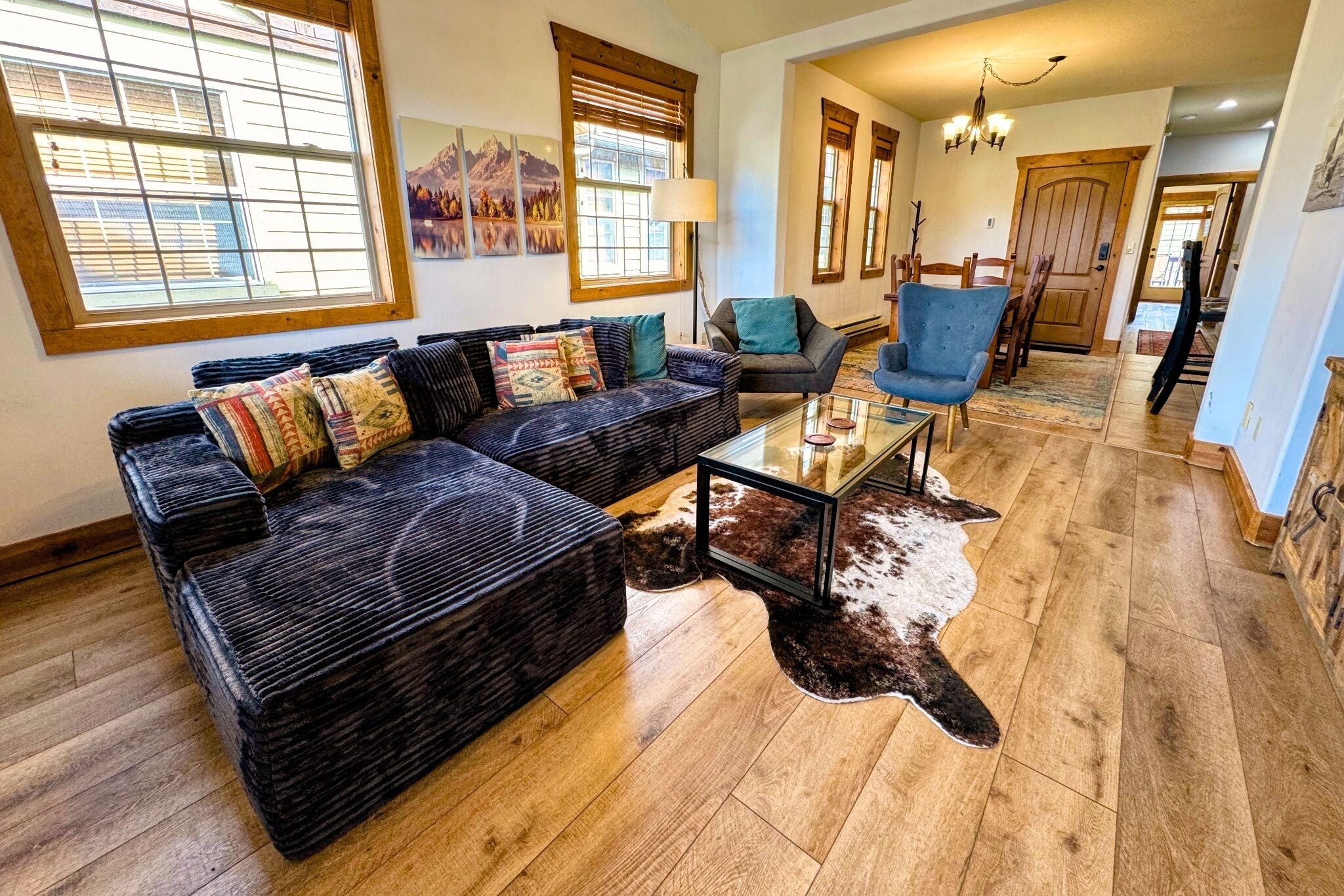 電視、DVD 播放機